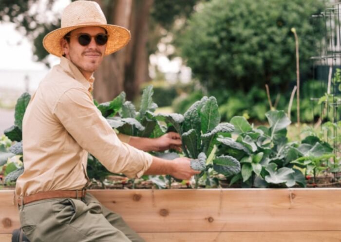 Beginning Your Gardening Adventure Comprehending the Fundamentals