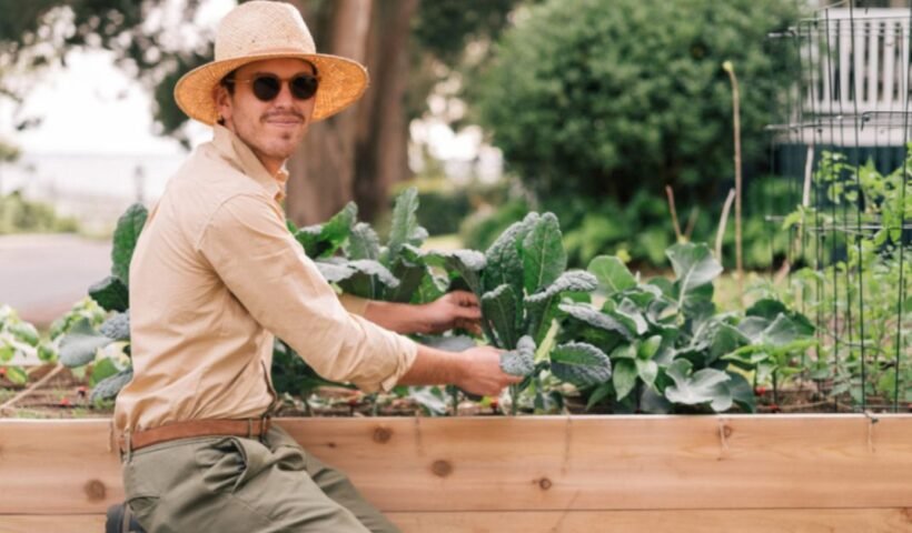 Beginning Your Gardening Adventure Comprehending the Fundamentals